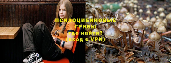прущая мука Киреевск