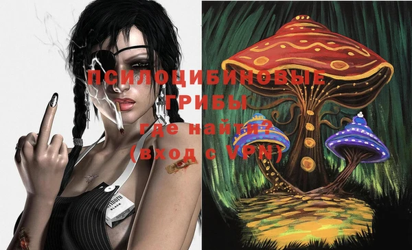 a pvp Кинешма